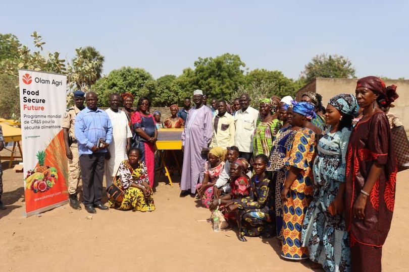 Tchad : Coton Tchad SN forme des femmes en techniques de séchage