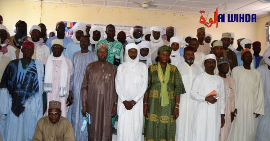 Tchad : un traitement spécial de redevance PPCB pour les éleveurs du Lac