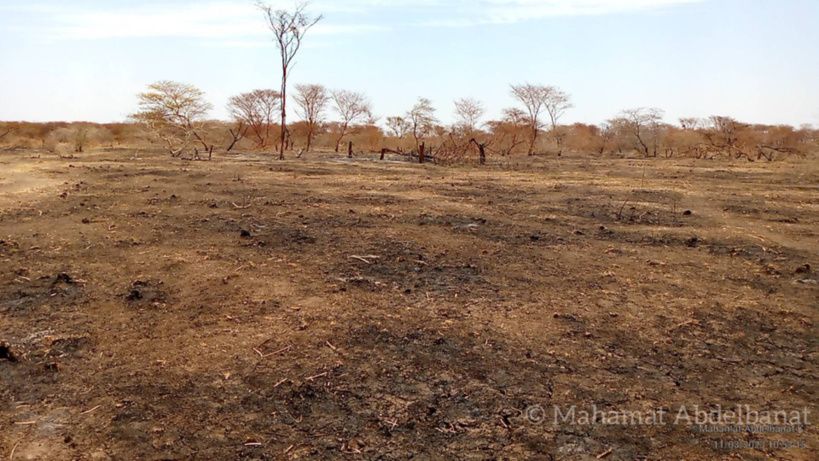 Tchad : des hommes armés tirent sur un véhicule de transport près d'Am-Timan, deux blessés. © Mahamat Abdelbanat Kourma/Alwih