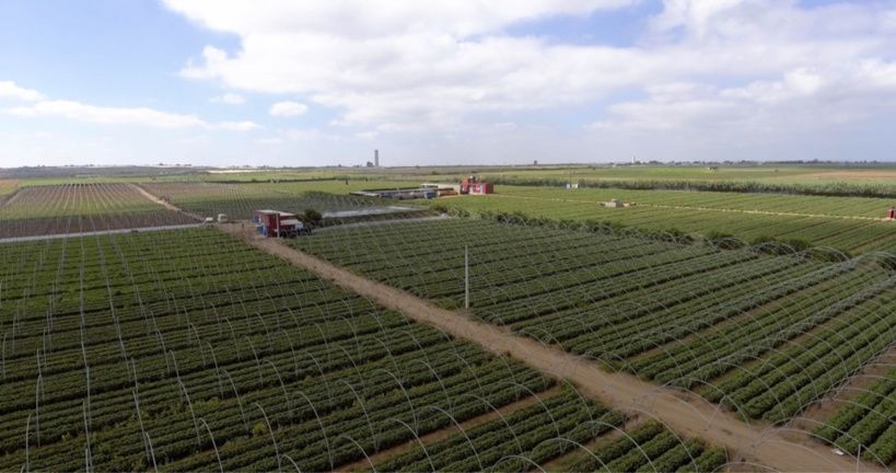 Finance climatique en Afrique : la BAD encourage la mise en place de mécanismes et d’instruments innovants