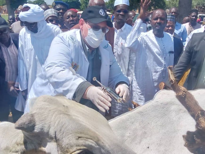 Tchad : le programme "Le Goût de la Vie" lancé au Mayo Kebbi Ouest pour renforcer les systèmes alimentaires