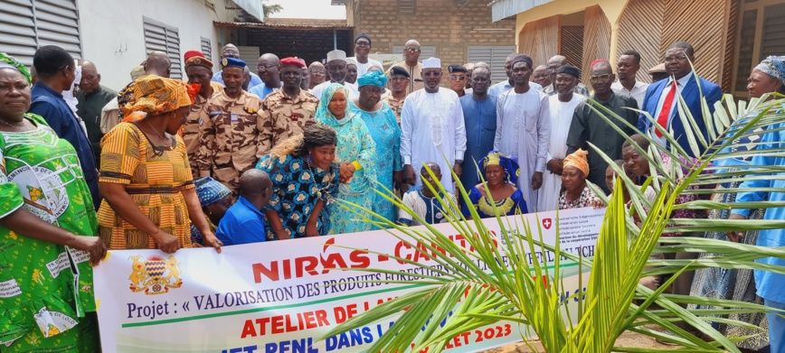 Tchad : un projet de valorisation des produits forestiers non-ligneux lancé au Moyen-Chari