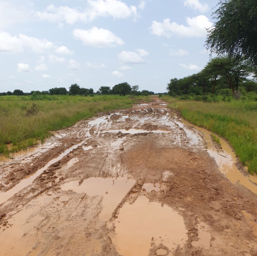 Tchad : une femme perd la vie dans un renversement de voiture près de Goz Beïda