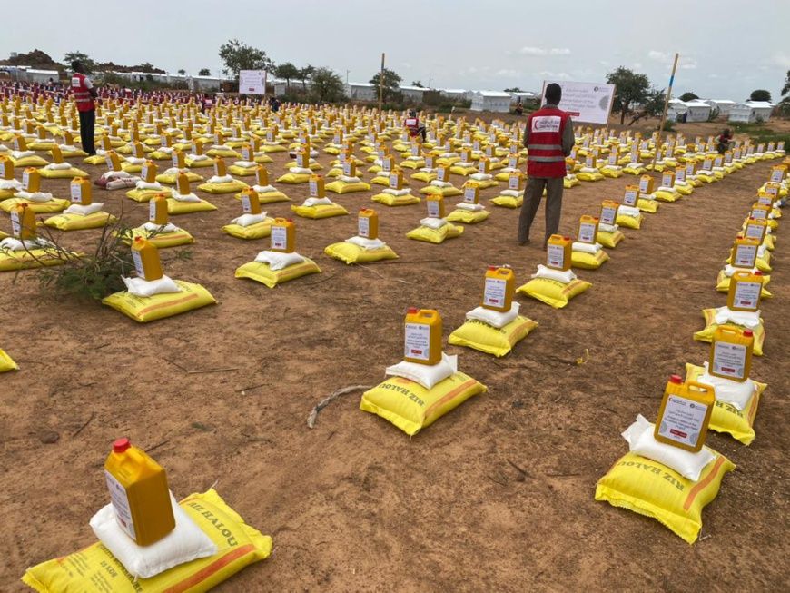 Aide humanitaire au Tchad : Le Croissant Rouge du Qatar apporte un soutien vital