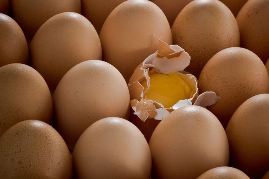 Tchad : pénurie d’œufs à N’Djamena