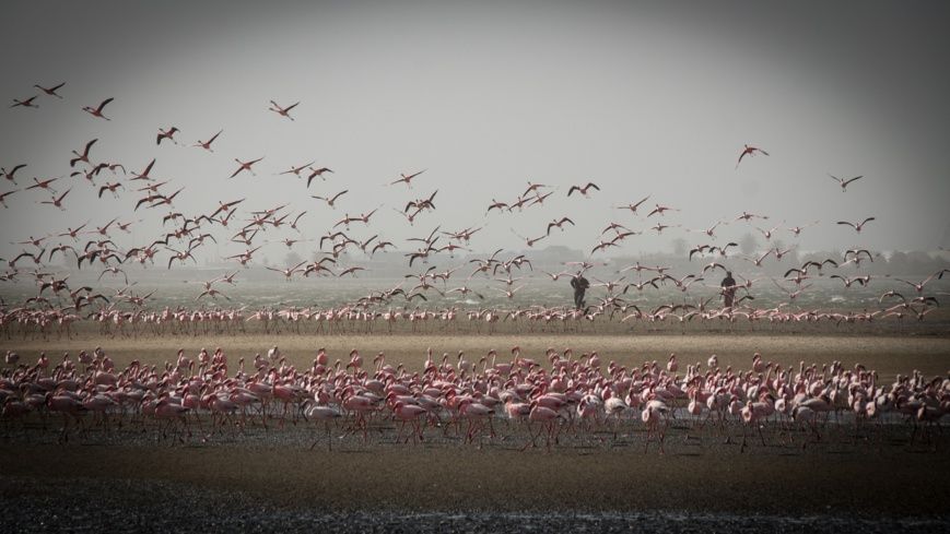 Namibie. Illustration © Pixabay