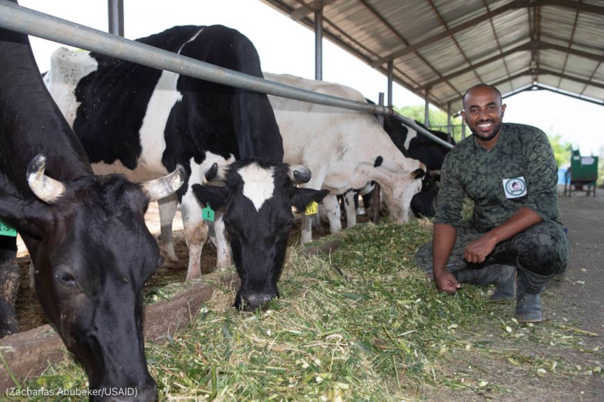Eskender Yoseph, dans sa ferme laitière en Éthiopie, forme d’autres agriculteurs à l’utilisation du matériel fourni par le go