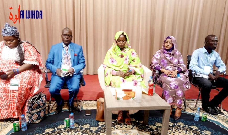 Tchad : les journalistes culturels en formation sur l'ère du numérique