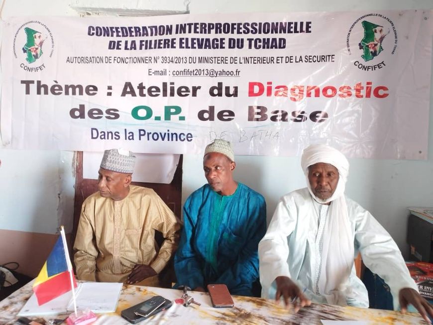 Tchad : mobilisation pour l'autonomie des organisations paysannes au Batha