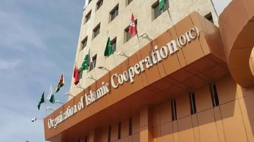 Journée internationale des personnes handicapées : l’OCI appelle les Etats membres à renforcer leur rôle dans la justice sociale