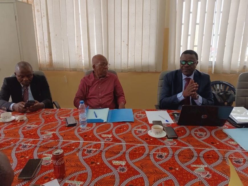 Cameroun : la filière palmier à huile met en place INTERPALM CAM