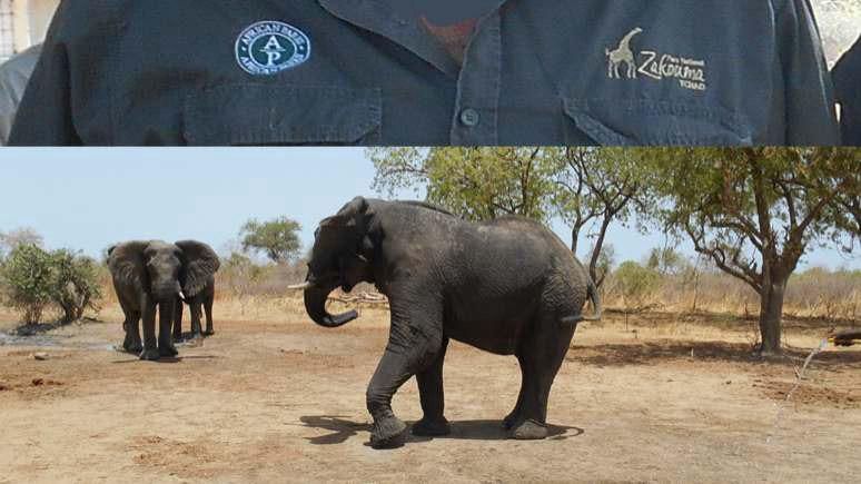 Tchad : les employés du Parc national de Zakouma en grève