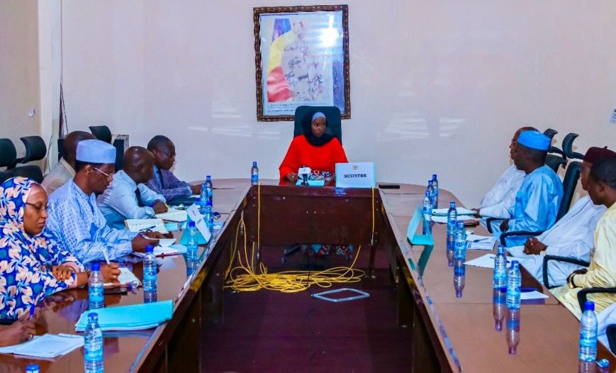 Vers une meilleure réglementation des plaques d’immatriculation au Tchad : les initiatives de la ministre des Transports