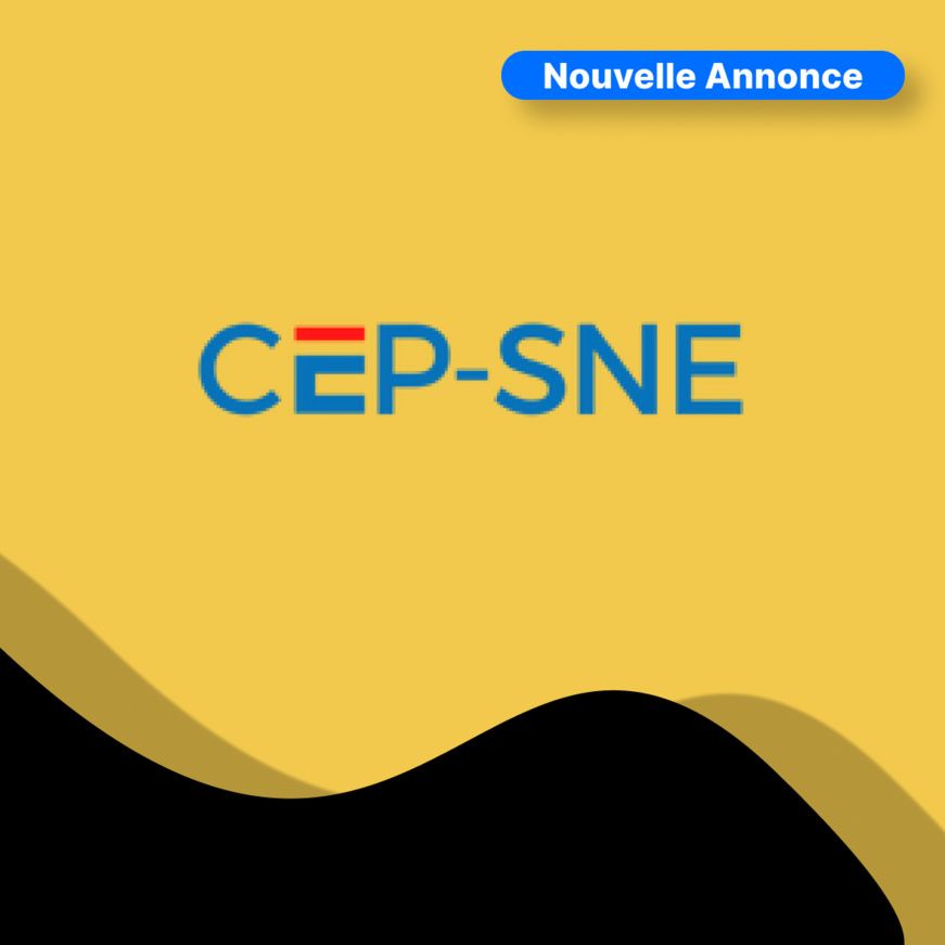 Tchad : la CEP/SNE proroge le dépôt et l'ouverture des offres d'un avis d'appel d'offres international