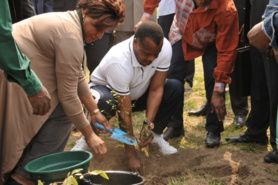 11 ème jeux Africains à Brazzaville : Denis Sassou NGuesso lance l’opération « Africa Green Challenge » à Kintélé