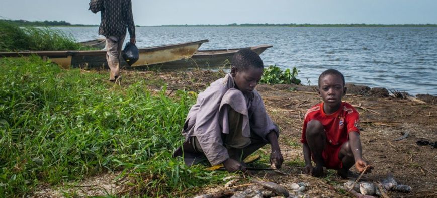 UNICEF / Tremeau Des enfants préparent du poisson fraîchement pêché dans le village de Tagal, dans la bassin du lac Tchad, au