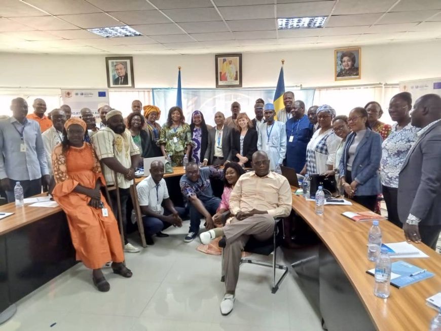 Renforcement des droits de l'Homme au Tchad : Le HCDH et les OSC en concertation trimestrielle