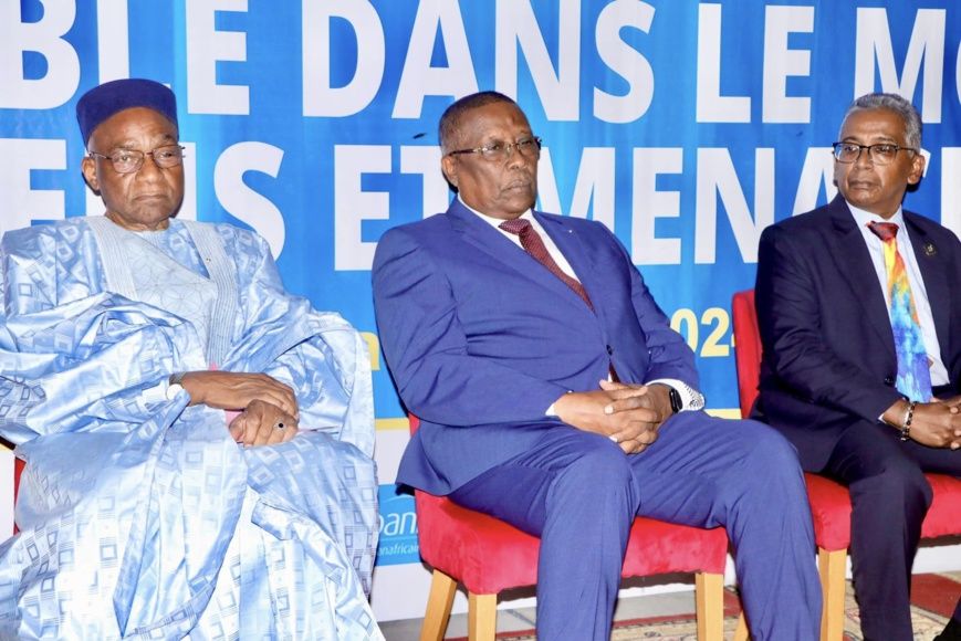 Tchad - 42ème conférence du District 9150 du Rotary Club International: Un succès à N'Djaména pour la paix et la coopération
