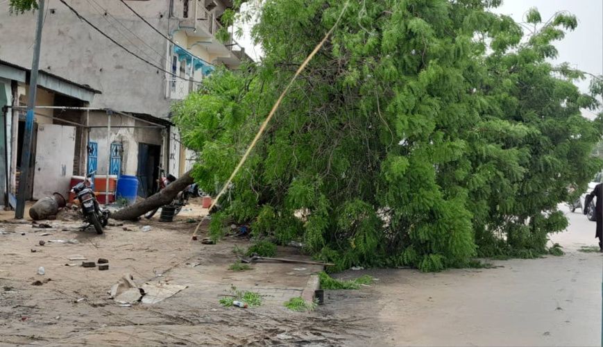 Tchad : la ville de N'Djamena a enregistré une grosse pluie accompagnée d'un vent violent