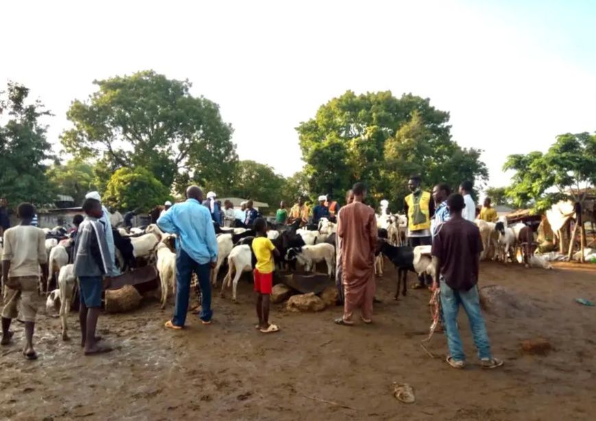 Tchad : la perdition des enfants, un phénomène qui prend de l'ampleur pendant les fêtes