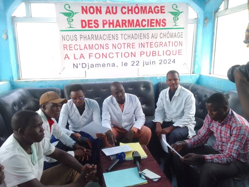 Tchad : Intégration des pharmaciens dans la fonction publique - Appel pressant du collectif