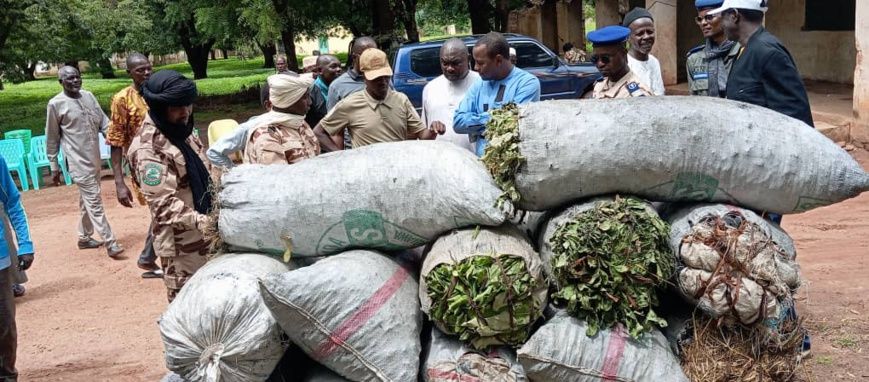 Tchad : la Garde forestière et faunique renforce ses efforts à Kélo