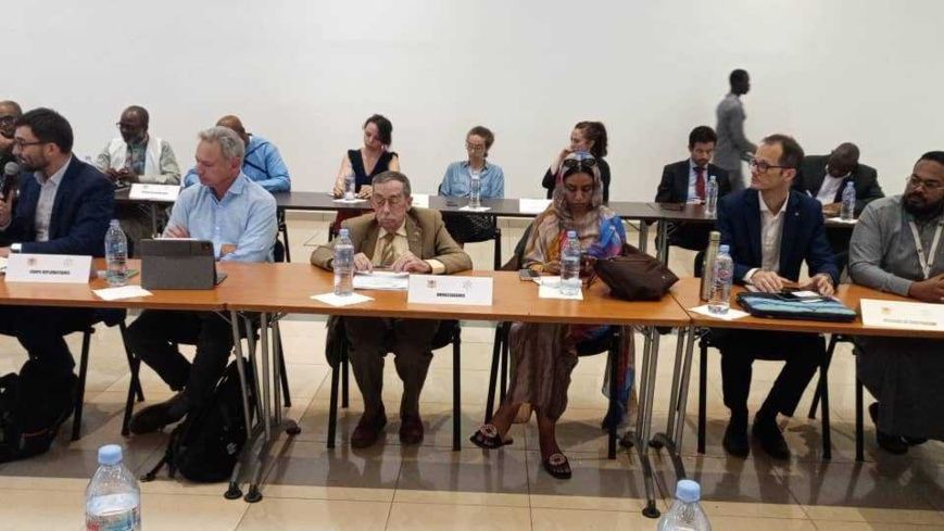 Tchad : table ronde des donateurs en raison de la crise humanitaire à l’Est du pays