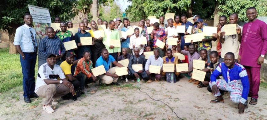 Renforcement des capacités des producteurs de coton au Tchad : un succès pour le consortium Coton Tchad et SOLIDARIDAD