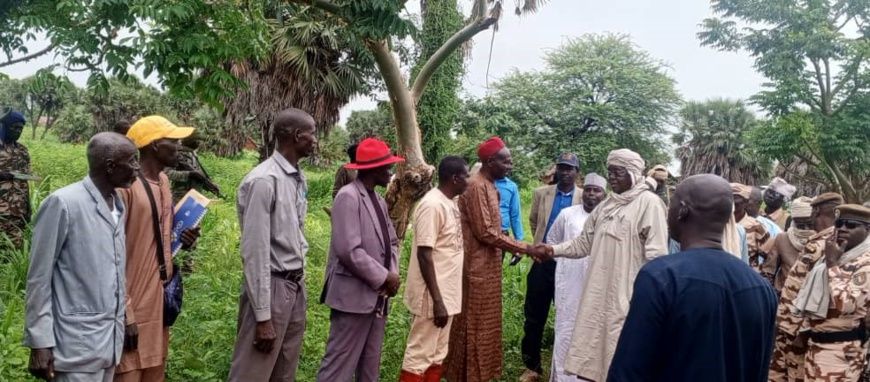 Tchad - La Tandjile face à la menace des éléphants : Le Gouverneur assure le soutien du gouvernement