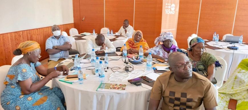 Tchad : La planification familiale, un investissement rentable