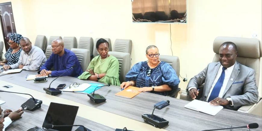 Tchad : Une collaboration renforcée entre le gouvernement et l’ONU pour lutter contre la forte mortalité maternelle