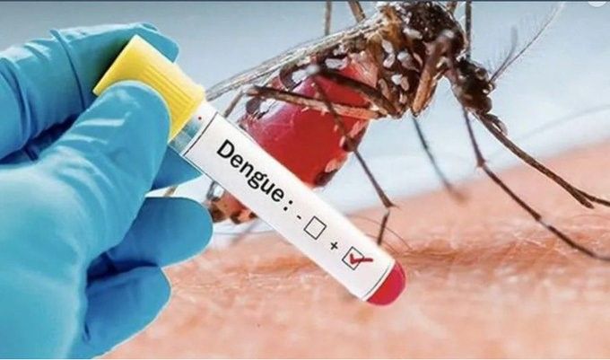 RCA : Alerte Épidémie de dengue déclarée !