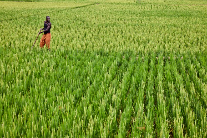 Burundi - Rwanda : 323 millions $ pour développer l’agriculture, les transports et les échanges commerciaux