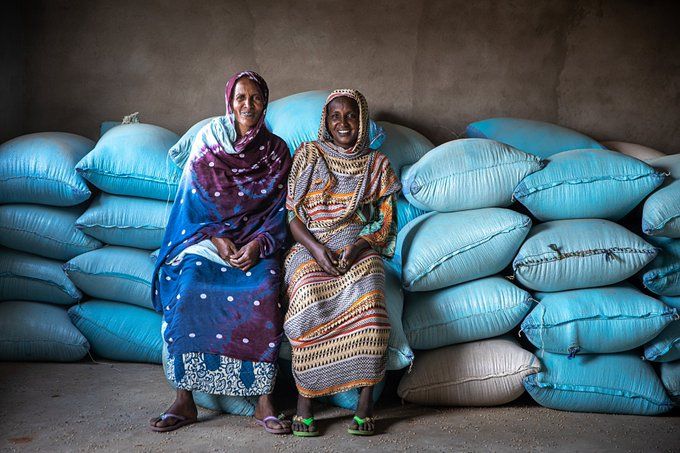 La Suisse apporte 1,5 milliard FCFA pour soutenir la résilience climatique au Tchad