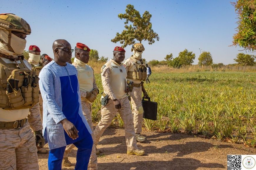 Burkina : le chef de l’État visite un champ d’ananas en expérimentation