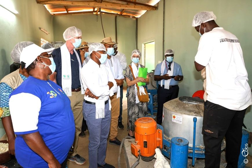Côte d’Ivoire : la BAD apprécie l’installation de l’unité de transformation de manioc de N’douci