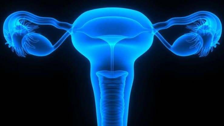 Santé : fibrome, un obstacle pour les femmes en âge de procréer