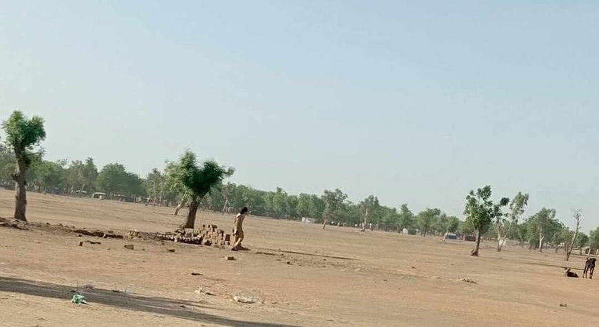 Tchad : la gestion des forêts est un défi difficile à relever
