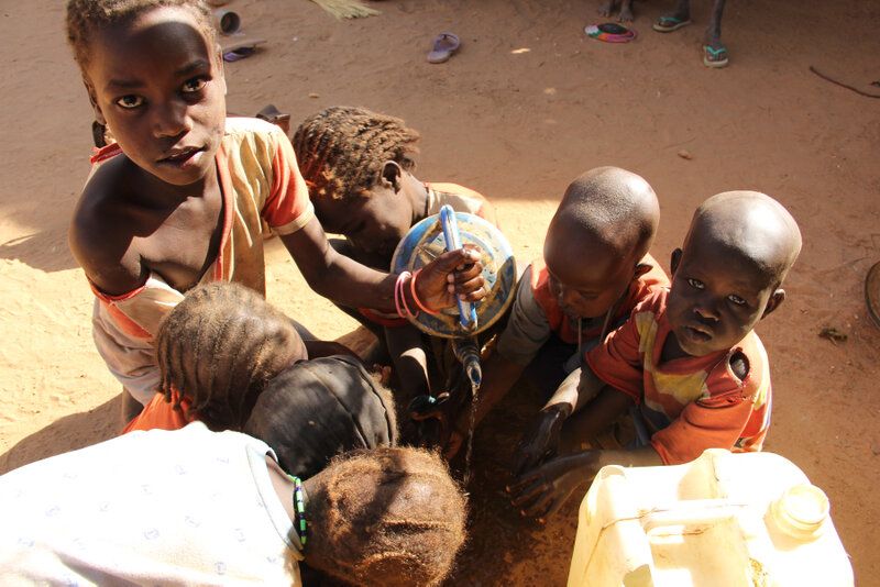 Tchad - Crise alimentaire imminente : 1,3 Million de personnes menacées dans le Sud