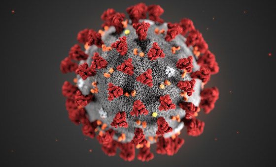 Covid-19 : Un nouveau variant très contagieux détecté en France