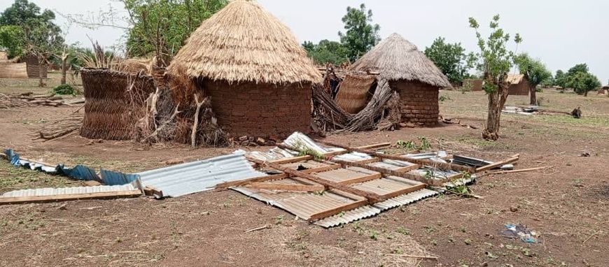 Tchad : Un éléphant en divagation et une tornade dévastent Kassélem Centre