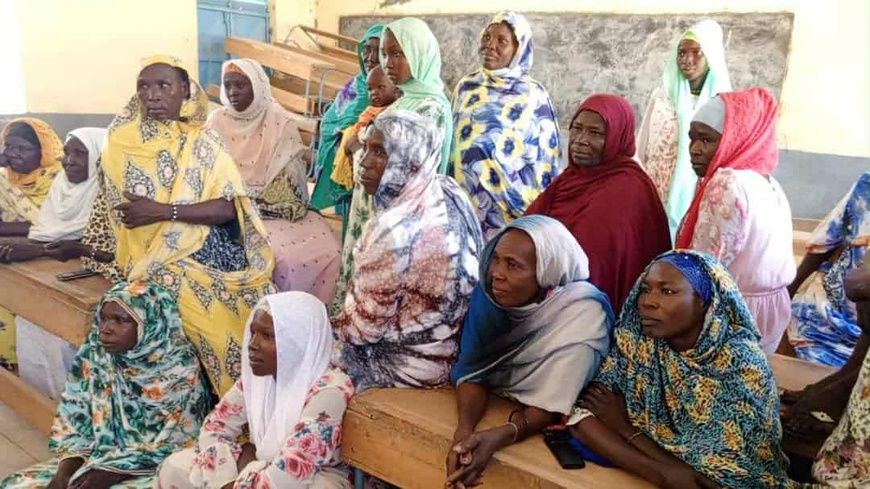 Tchad : au Guéra, lancement d'une formation en techniques artisanales à Zerli 1