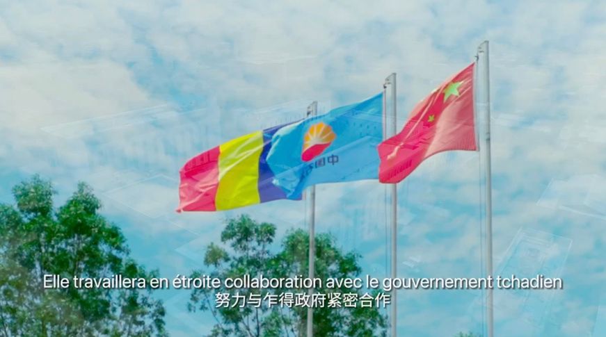 Tchad : CNPCIC, la priorité à la protection de l'environnement pour un développement écologique