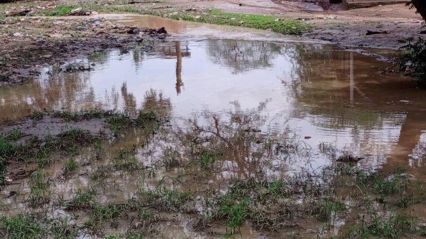 Tchad : La Mairie de Mongo crée un comité de gestion de l'eau de pluie pour prévenir les inondations
