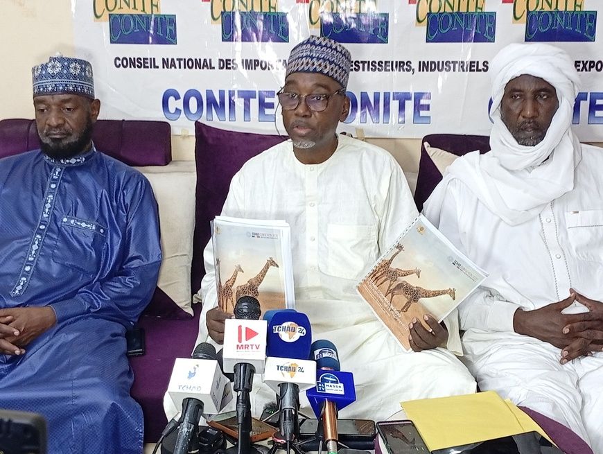 Tchad : le CONITE soutient le Programme national du développement (PND) « Tchad connexion 2030 »