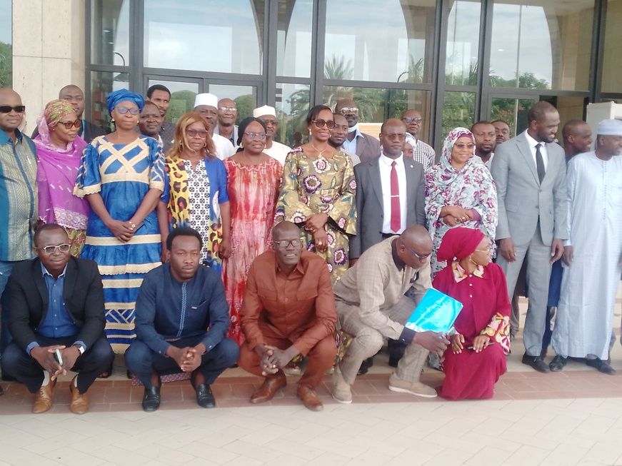Tchad : revue à mi-parcours du Plan de Travail conjoint 2025 avec l'OMS