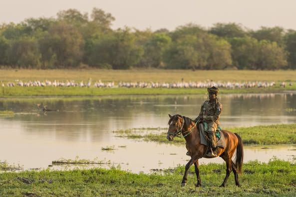 Info : Zakouma National Park 📷Marcus Westberg