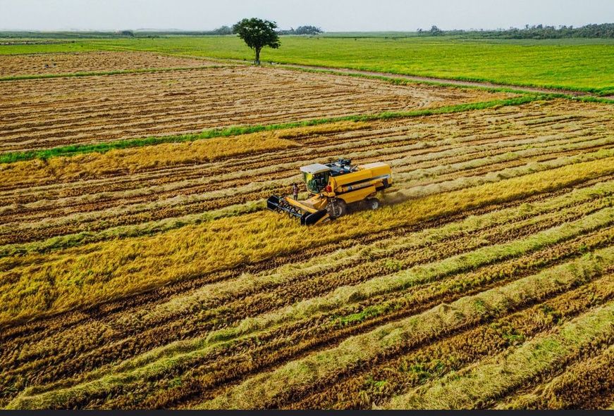 Nigeria : participation de la BAD à la cérémonie inaugurale de la zone spéciale de traitement agro-industriel dans l’État d’Oyo