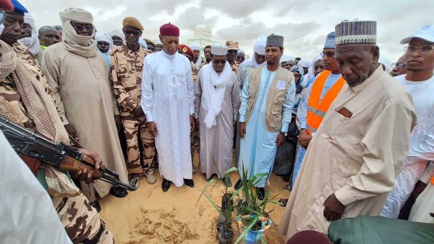 Tchad : Le CERCAK offre 100 palmiers-dattiers pour la Muraille Verte dans le Kanem