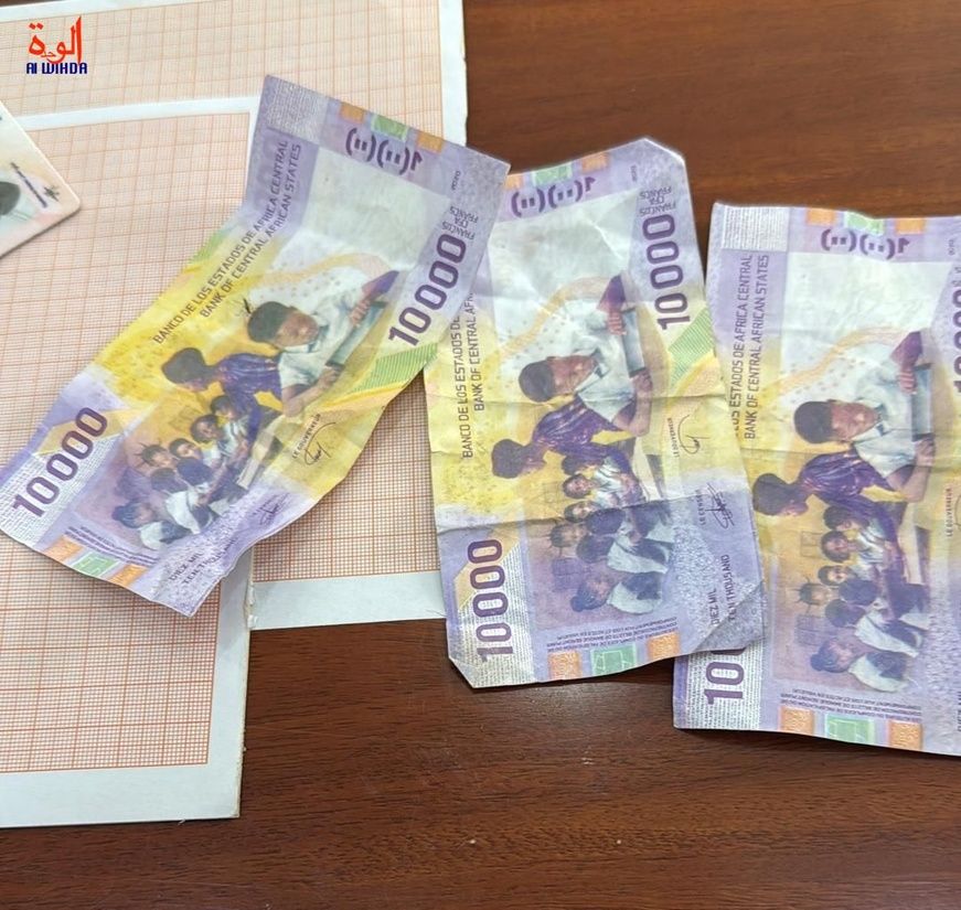 Tchad : Réussite et richesse, un débat entre deux visions